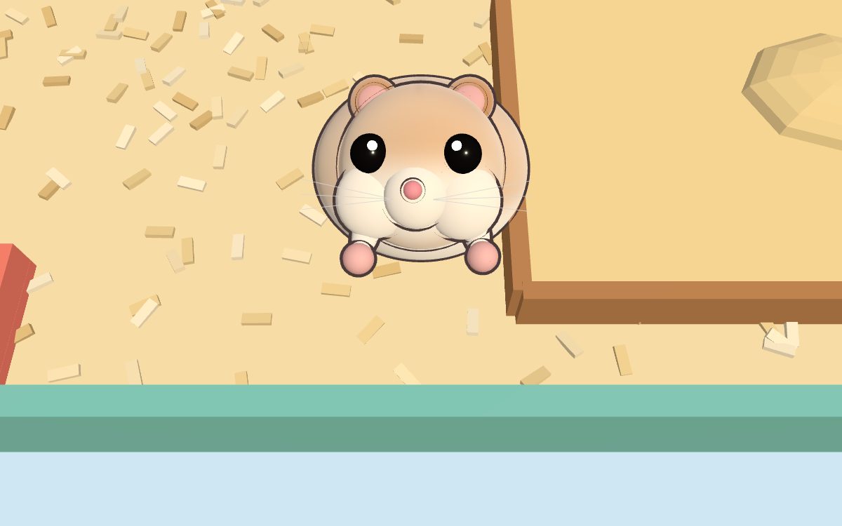 Cinnamon Nibbly hamster standing on its hind legs, begging for a treat.